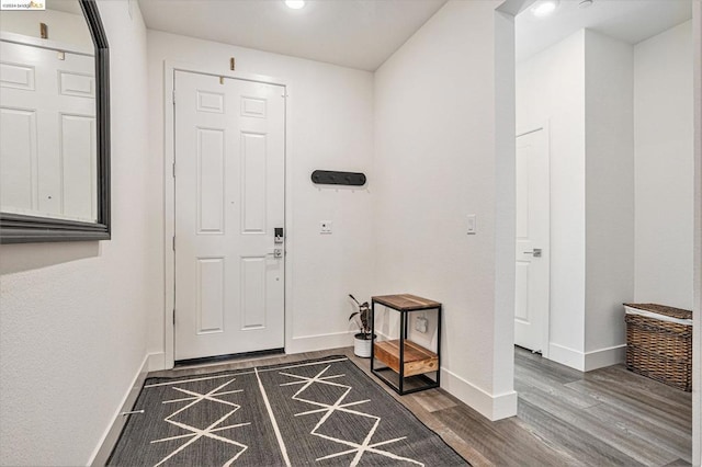 entrance foyer with dark wood-type flooring