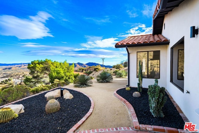 view of yard featuring a mountain view