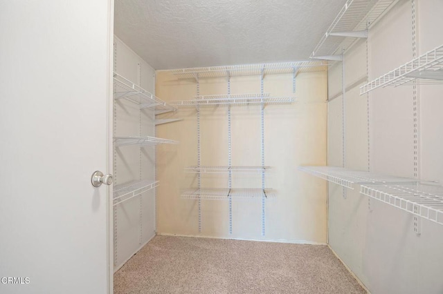 walk in closet with light carpet