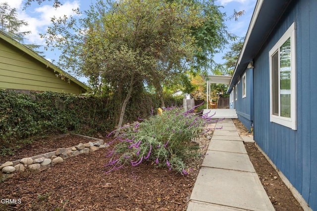 view of yard with a patio