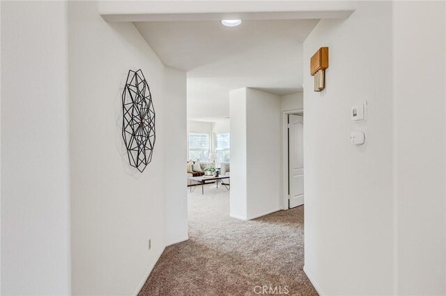 hallway featuring carpet floors