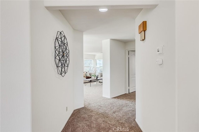 hallway with carpet