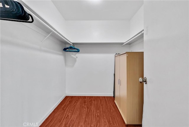 walk in closet featuring light hardwood / wood-style flooring