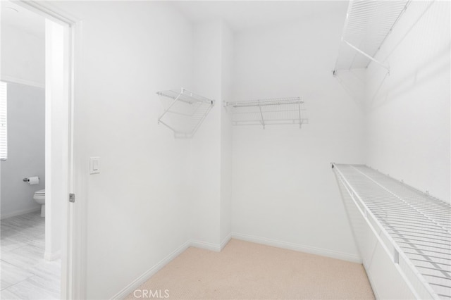 spacious closet featuring light carpet