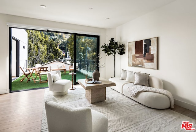 living room featuring light hardwood / wood-style flooring