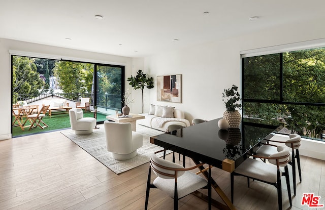 dining area with light hardwood / wood-style floors