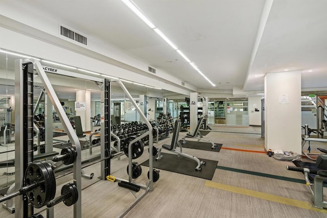 exercise room featuring carpet floors