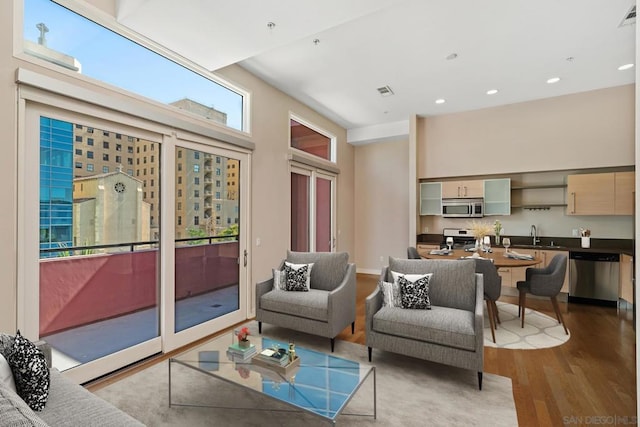 living room with light hardwood / wood-style floors and sink