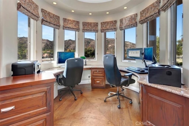 office featuring light wood-type flooring