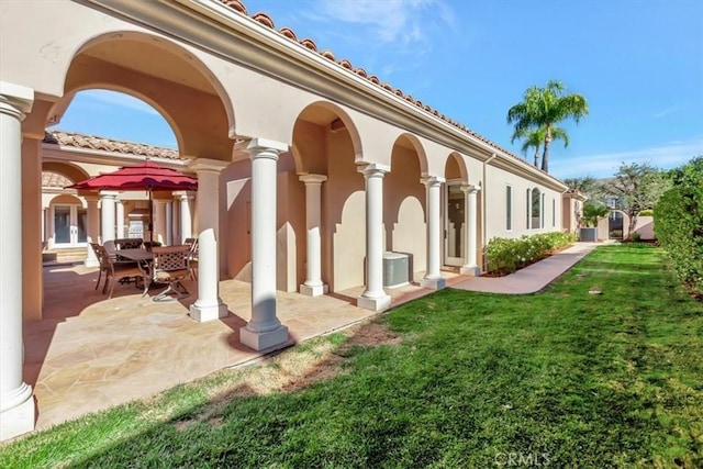 back of house featuring a patio area and a yard