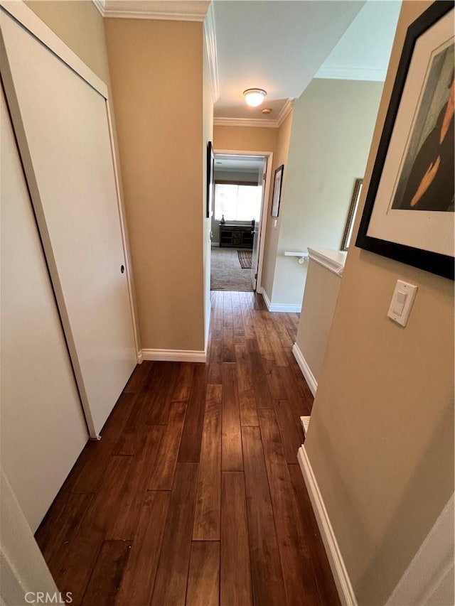 hallway with dark hardwood / wood-style flooring and crown molding