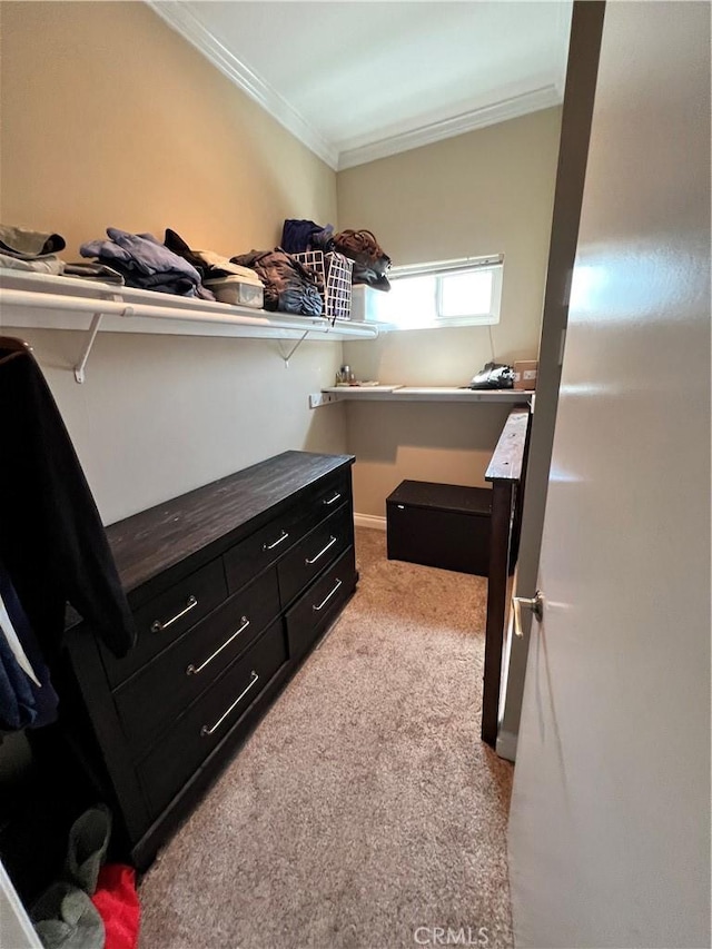 spacious closet featuring light carpet