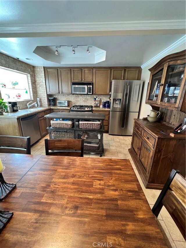 kitchen with appliances with stainless steel finishes, backsplash, a tray ceiling, ornamental molding, and sink