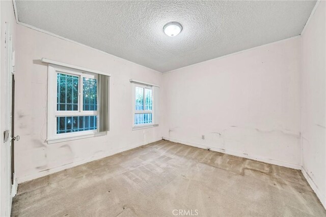 carpeted empty room featuring a textured ceiling