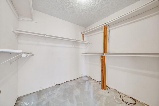 walk in closet with light carpet