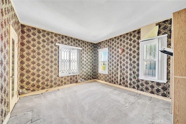 carpeted spare room featuring a wealth of natural light