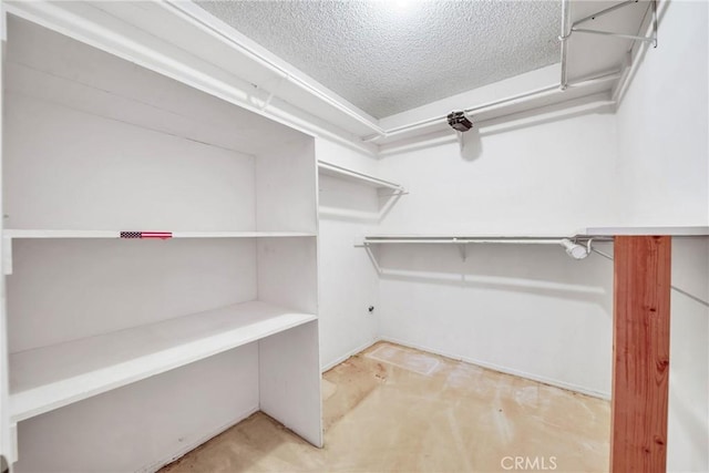 view of walk in closet