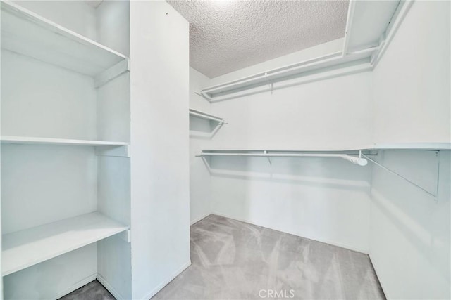 walk in closet with light colored carpet