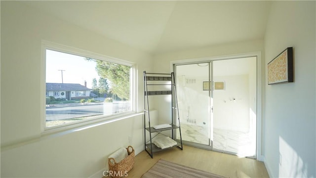 interior space with vaulted ceiling and light wood-type flooring