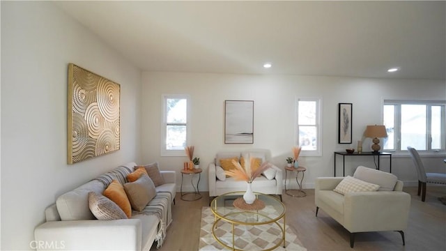 living room featuring light hardwood / wood-style floors