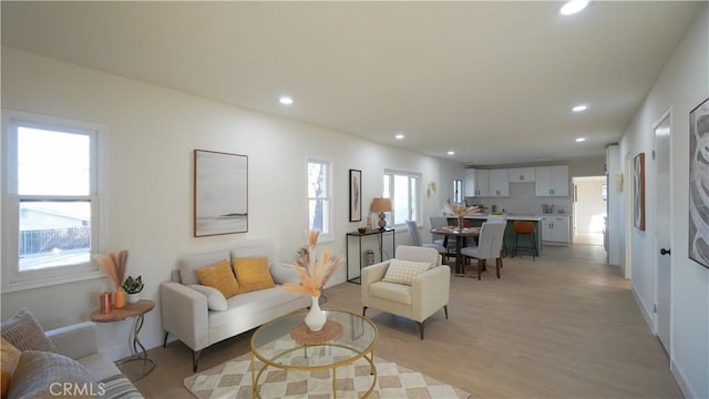 living room with light hardwood / wood-style flooring