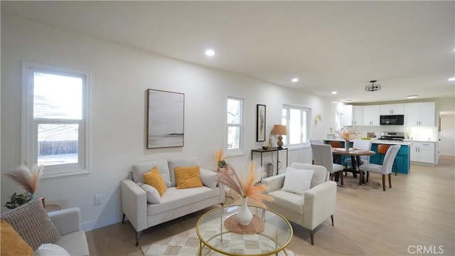 living room featuring light hardwood / wood-style flooring