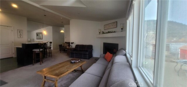 carpeted living room with electric panel and a healthy amount of sunlight