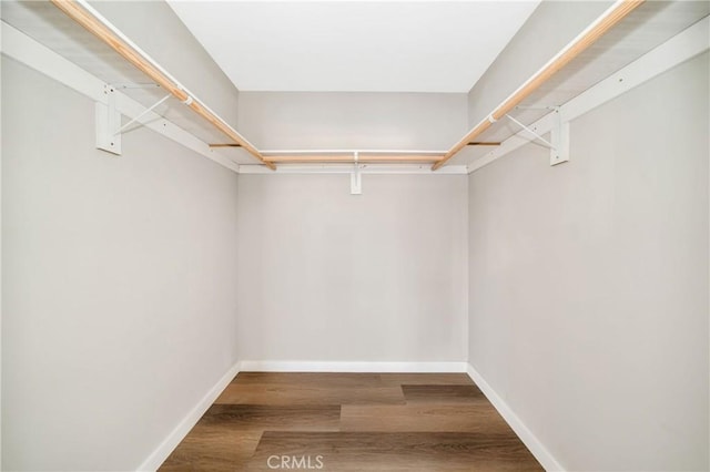 walk in closet featuring hardwood / wood-style floors