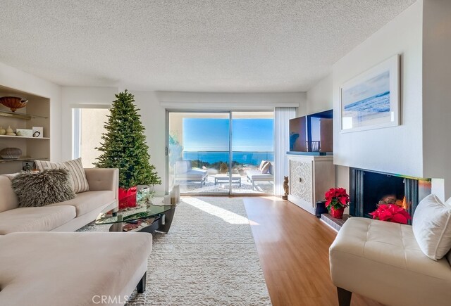 living room with hardwood / wood-style flooring and a textured ceiling