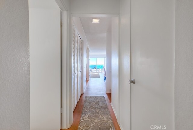 corridor featuring wood-type flooring