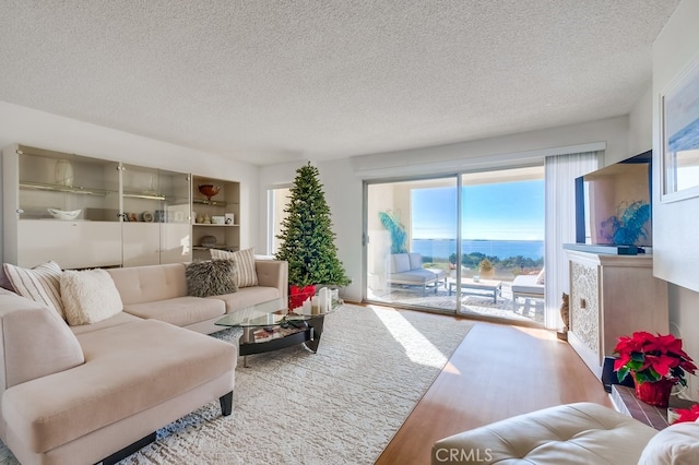 living room featuring hardwood / wood-style floors and a textured ceiling