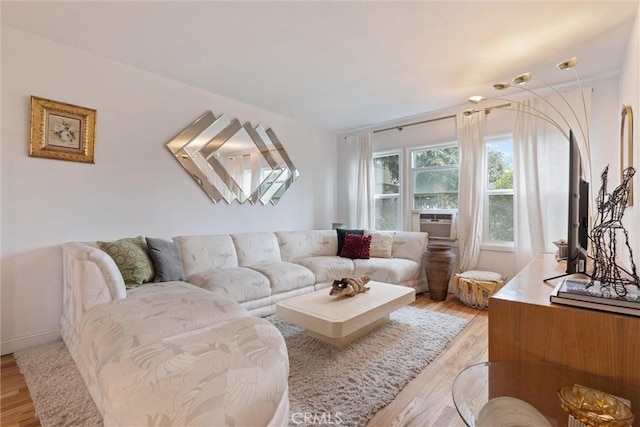 living room featuring light hardwood / wood-style floors