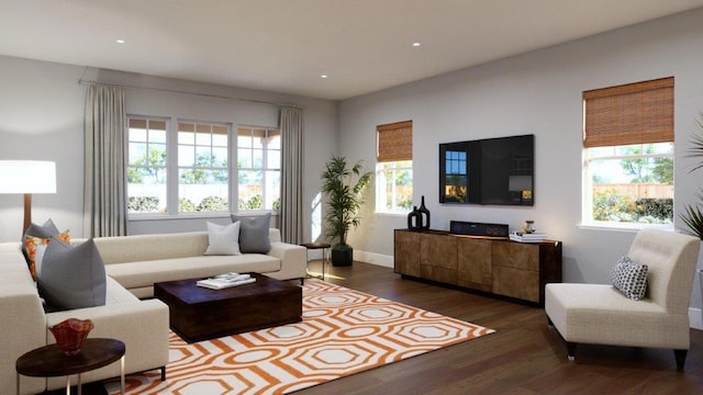 living room featuring dark hardwood / wood-style floors