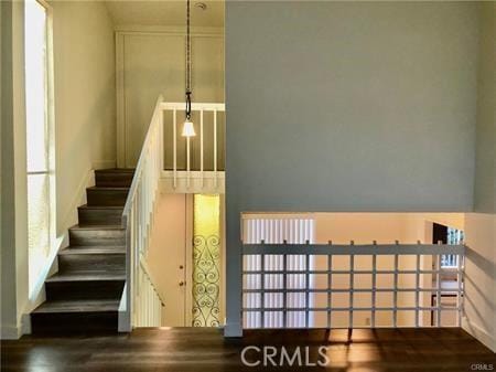 staircase featuring wood-type flooring