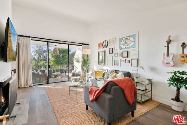 living room featuring wood-type flooring