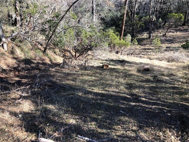 9660 Harrington Flat Rd, Loch Lomond, CA 95461