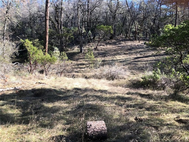 9660 Harrington Flat Rd, Loch Lomond, CA 95461