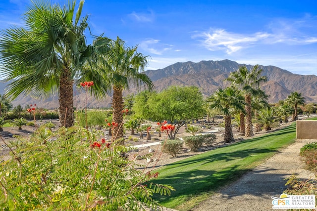 view of property's community with a mountain view