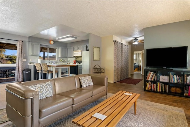 12755 Blue Heron Ct, Clearlake Oaks, CA 95423 - living room featuring wood-type flooring and a textured ceiling