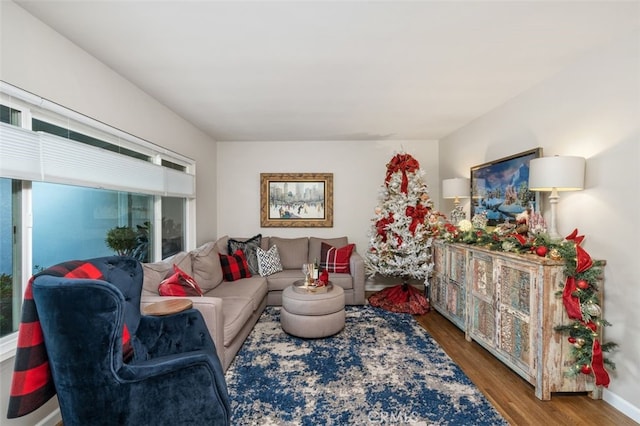 living room featuring hardwood / wood-style flooring and a wealth of natural light