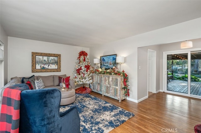 living room with wood-type flooring