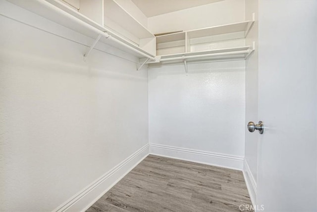 spacious closet featuring hardwood / wood-style floors