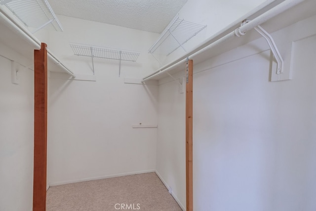 spacious closet featuring light carpet