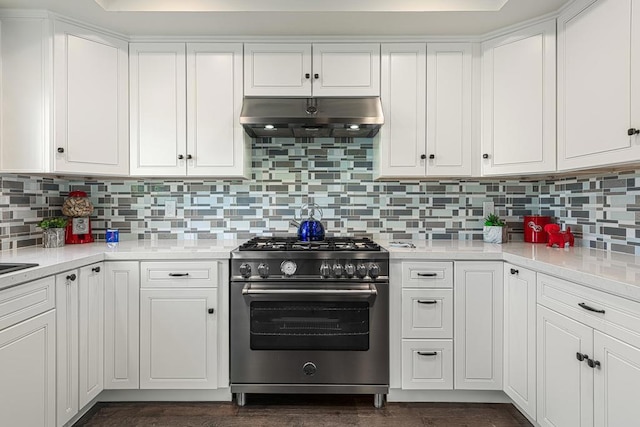 kitchen featuring designer stove and white cabinetry