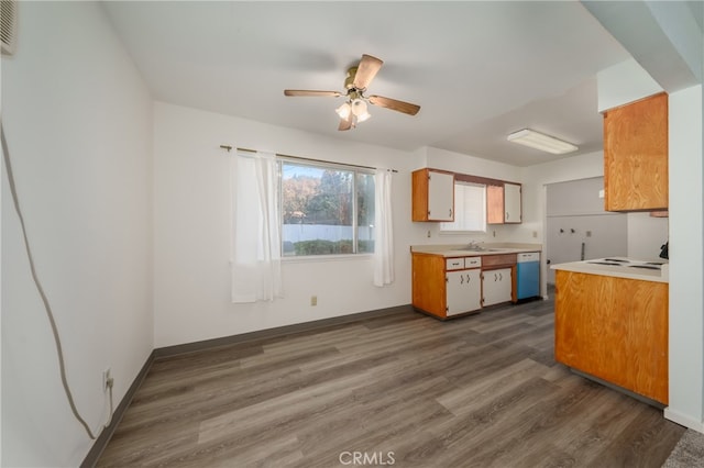 kitchen with dishwasher, ceiling fan, sink, and dark wood-type flooring