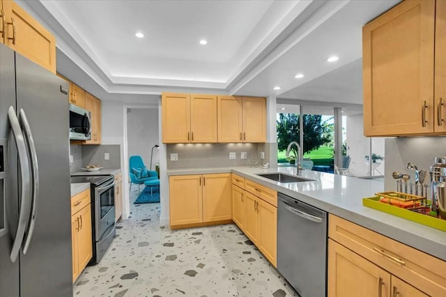 kitchen with light brown cabinets, sink, stainless steel appliances, and a tray ceiling