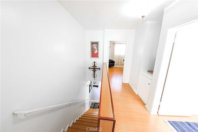 17053 Roscoe Blvd Unit 1, Northridge, CA 91325 - hallway featuring light wood-style flooring and baseboards