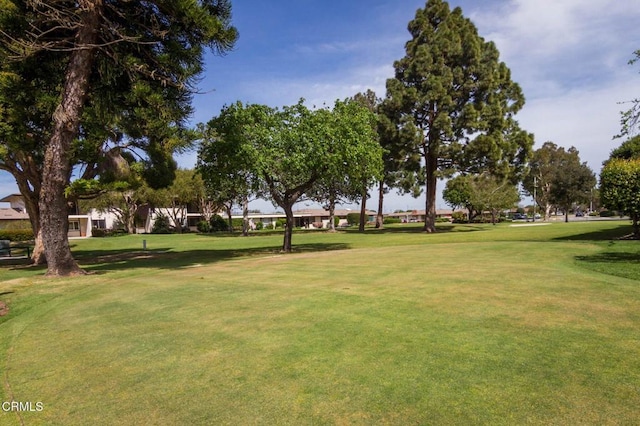 view of community featuring a lawn