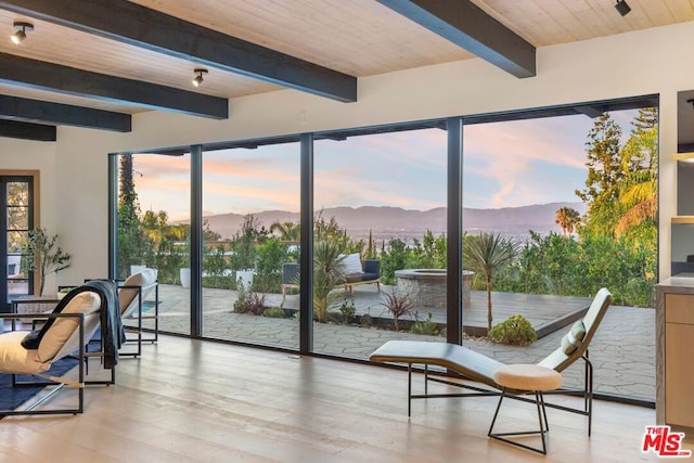 doorway featuring a mountain view, beamed ceiling, light hardwood / wood-style floors, and wooden ceiling