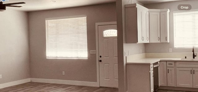 kitchen with white cabinetry, dishwasher, sink, ceiling fan, and hardwood / wood-style flooring